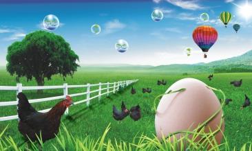 農(nóng)業(yè)數(shù)字化竟然是農(nóng)產(chǎn)品可追溯的前提條件？看他怎么說