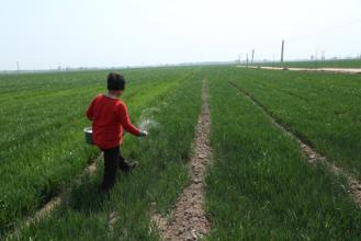 一周回顧|農業(yè)產業(yè)10大事件盤點(09.0125-09.18)