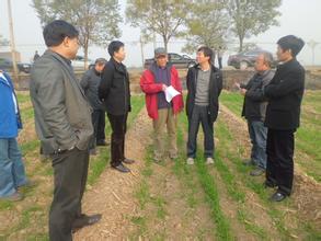 秋冬種的工作有哪些？看看農(nóng)業(yè)部是如何部署的！