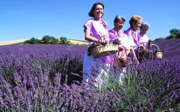 中國農業企業想做做不到的，法國憑什么做到了？