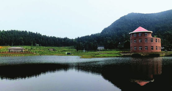 案例剖析|投資農(nóng)業(yè)11大絕癥!王健林、丁磊、許家印都失敗了