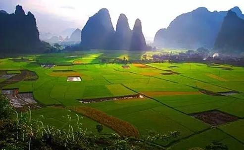 趕緊看看！自10月開(kāi)始，國(guó)家又有哪些新規(guī)將影響農(nóng)友們的生活？