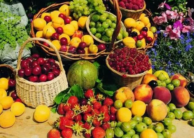 中國強勢農業時代到來，農業企業有哪些福利？