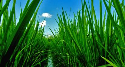 恒大27億“賣身”，巨額虧損買來三大教訓四大啟示