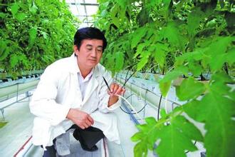 瞄準(zhǔn)五類廢棄物 實(shí)現(xiàn)農(nóng)業(yè)資源循環(huán)利用