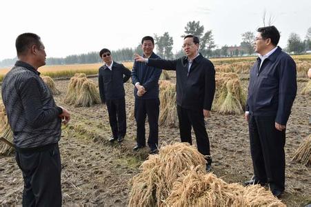 “守著糧倉買洋糧”拷問農業供給側改革痛點