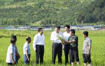 “十三五”重點支持方向、2017年農業補貼，在這里?。? />

                        
                        </a></div>
                        <div   id=