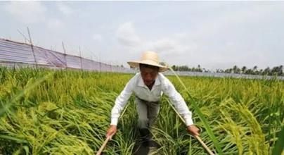 干農業，要盯緊這些致富商機！