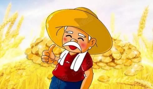 未來5年，國家明確表態(tài)增加農(nóng)民收入