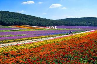 沒錢？三招教你輕松實現“輕資產運營”