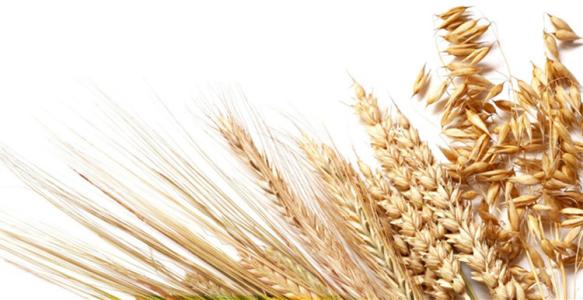 2017農業賺錢新熱點，早發現早掙錢！