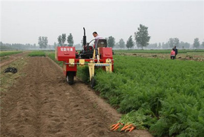 農業部：使融合發展成為農民較快持續增收的重要支撐