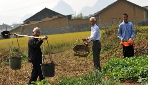 掘金新模式 | “養老+農業”內含巨大商機！