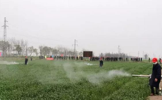 三農日報｜土壤修復是農業下一個“風口”；揭秘！京東冷鏈