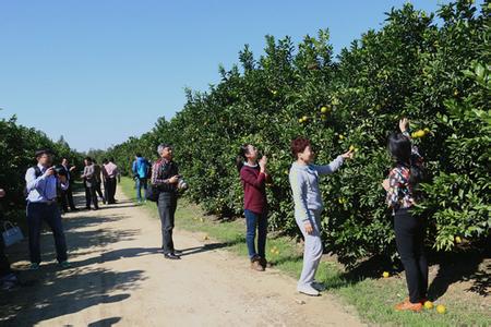 農業部印發農墾經濟和社會發展十三五規劃