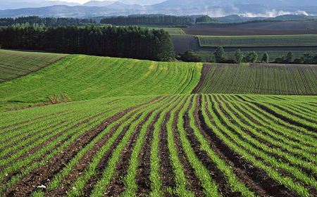 三農日報|取暖設施農業可獲補貼；2016出口農藥前10名出爐