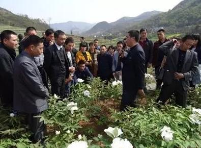 三農日報|農墾“十三五”出臺；236個中國農民不抵1個美國農民；休閑農業如何跨界？