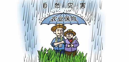 未來！國家發力農業保險服務功能