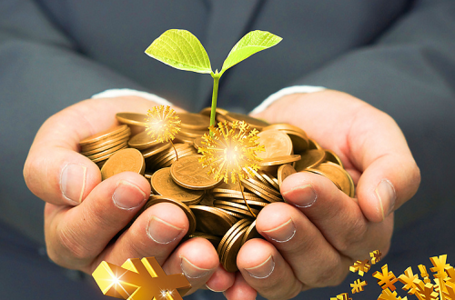 2017將是農業最賺錢的一年，機會這么多!