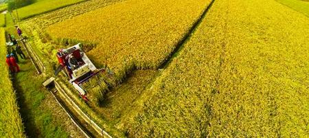 2017中央一號文件4大賺錢訊號，千萬別錯過!