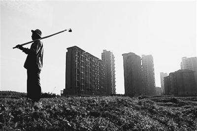 農業部：將在100個縣開展農村集體產權改革試點