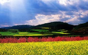  特色小鎮+現代農業：一號文件催生新的商業模式