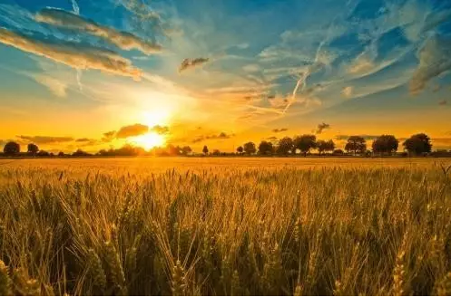 QQ圖片20170828095723 2.png