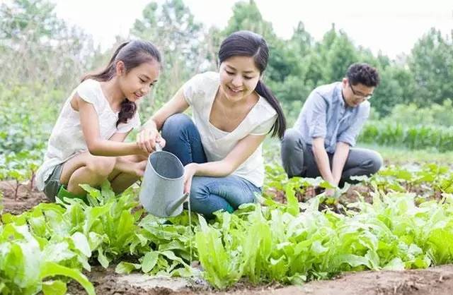 親子農業,親子農業規劃,親子農業策劃