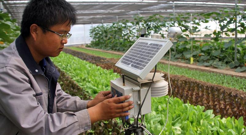 智慧農(nóng)業(yè)將在農(nóng)村成趨勢，但與農(nóng)民離得太遠(yuǎn)..