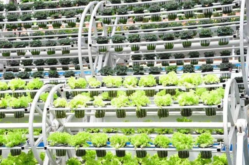 太空農業、分子農業，顛覆60后、70后認知的高科技農業