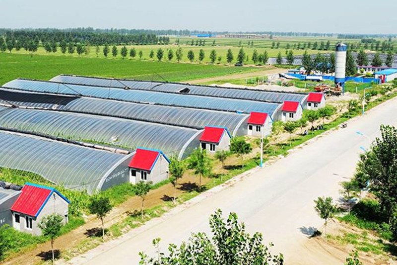 重磅|中國農業規模化如何干？3大資源決定成敗