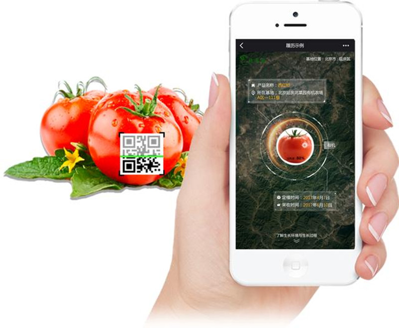 農業+大數據：將顛覆傳統農業，讓農場智慧化互聯網化