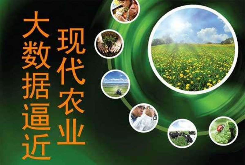 路林欣：未來互聯網將引領“智慧農業”進入一個新時代