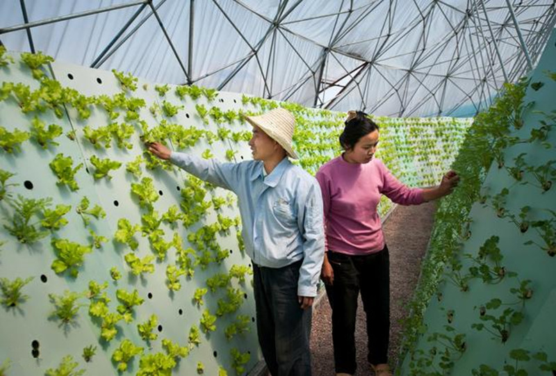 新型農民用手機就能種田？如何做到的？不信你瞧！