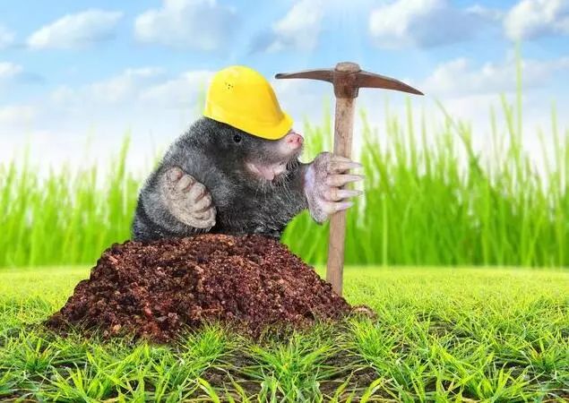 農業問題很致命，但阿里、騰訊、百度正在破解