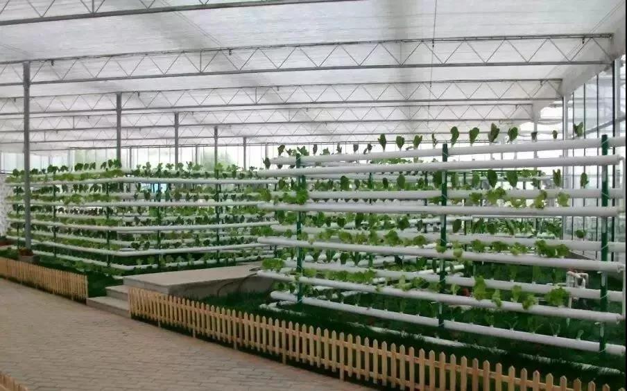 模式研究|新農業樣板：設施農業、無土栽培、精準農業（建議收藏）