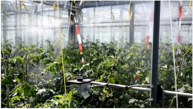 農業“新基建”意義重大，騰訊AI種番茄加速成果落地， 遼寧試點凈利增千元