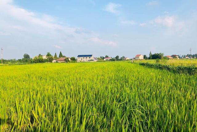 12億元！農業科技最大一次融資！極飛科技打造農業無人化新革命