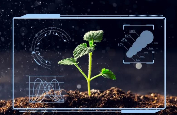 【智慧農業】大數據應用于農業的十大案例