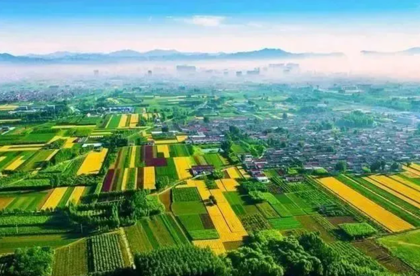 未來已來！鄉村數字化發展探析