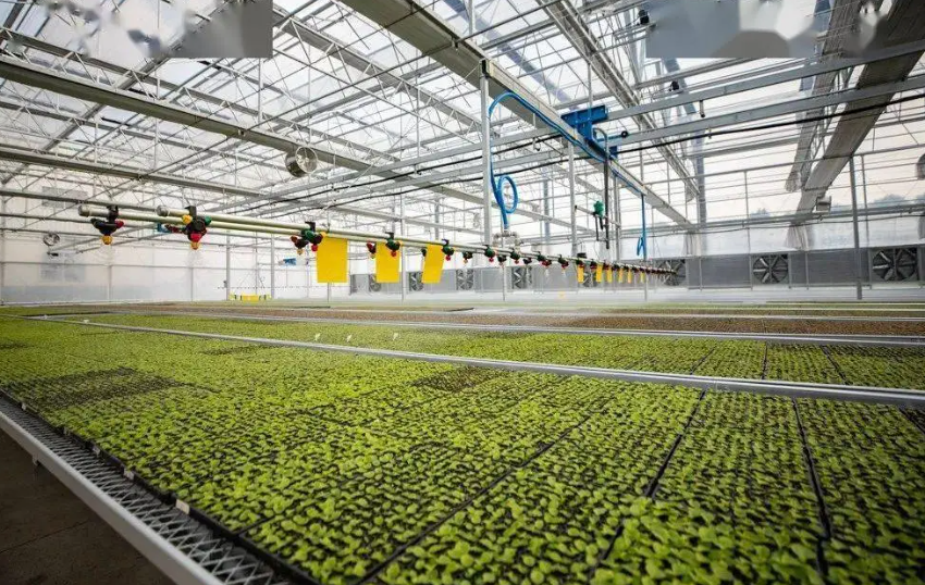 未來六大農業科技方向&15項農業新技術，改變農業升級農業