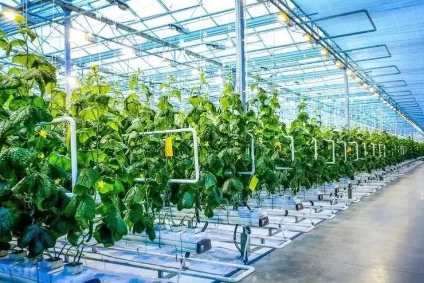 人工智能真的能改變農業么？未來如何突破