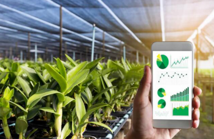 數字化農業：3個趨勢和4個要點