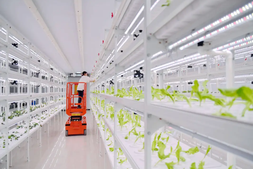 如何破解智慧農業難點卡點？農業農村部提出13項重點任務與8大行動計劃