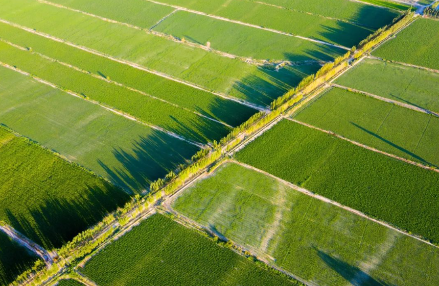 深度研究！我國農業科技迎來大爆發