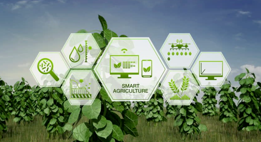 政策青睞！什么是數字農業？特點及發展現狀如何