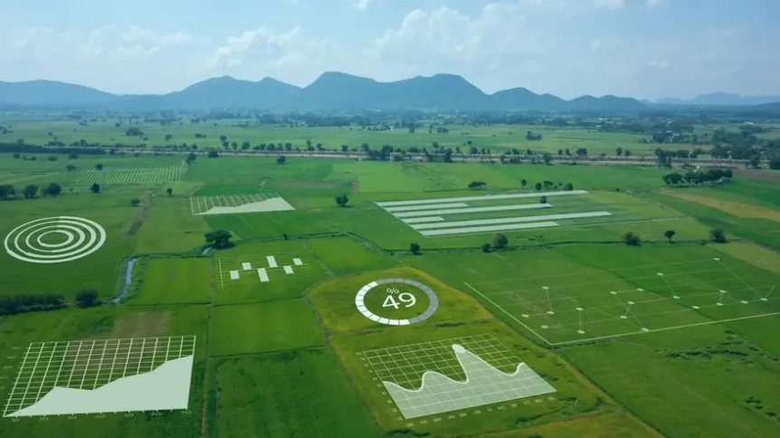 數字化對我國鄉村交易與產業轉型的影響