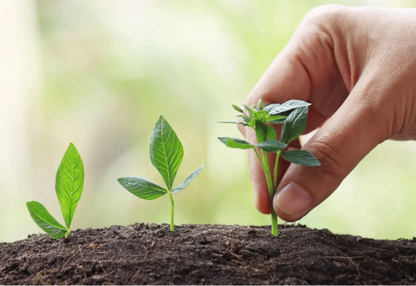 【智慧農業】智慧農業創業：20+條創新商業模式推薦