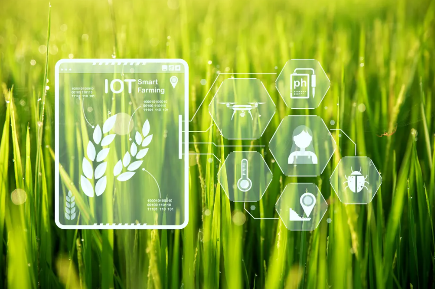 數字農業創新典型案例——淘菜菜、京東農場