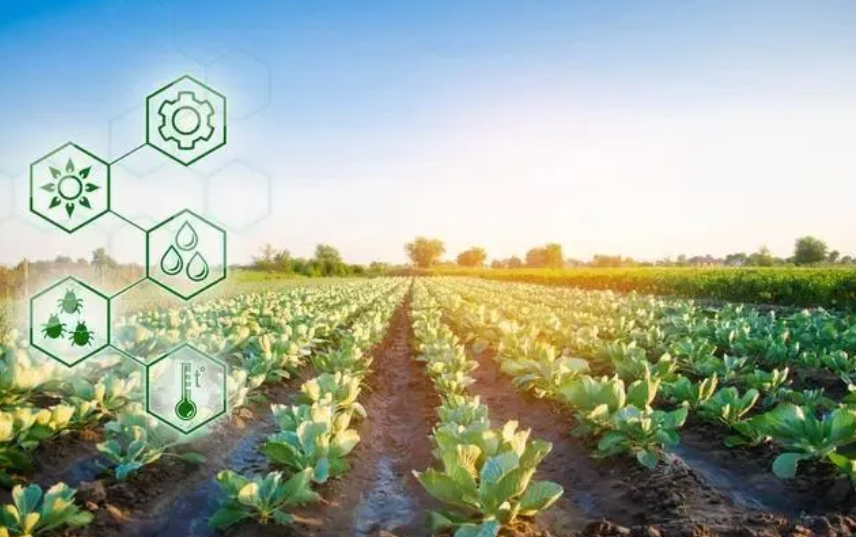 科技“慧”農全解析：2024年哪些農業科技成果驚艷眼球？